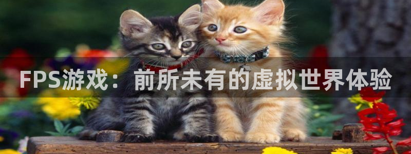 杏悦2APP下载安装