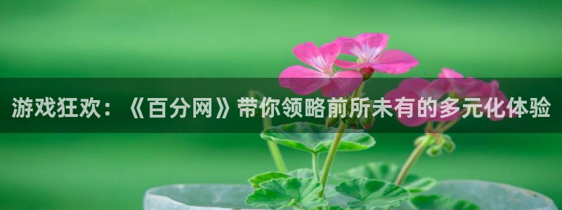 杏悦2平台注册入口