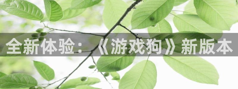 杏悦2平台学科排名