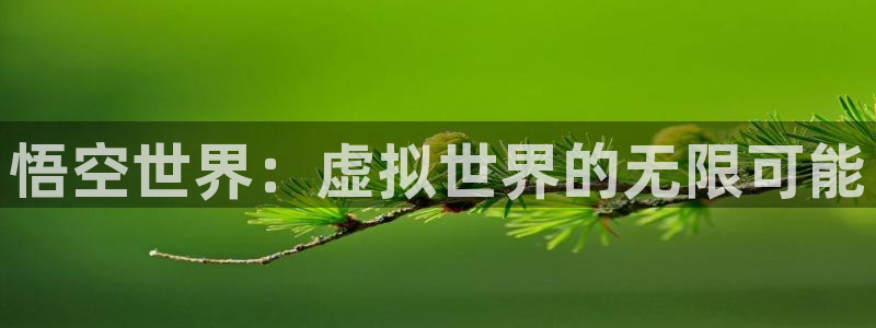 杏悦2平台官网登录