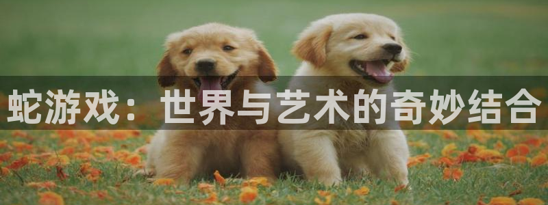杏悦2测试：蛇游戏：世界与艺术的奇妙结合
