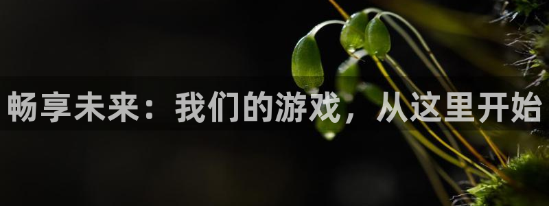 杏悦2平台学科排名：畅享未来：我们的游戏，从这里开始