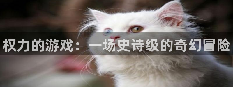 杏悦2代理：权力的游戏：一场史诗级的奇幻冒险