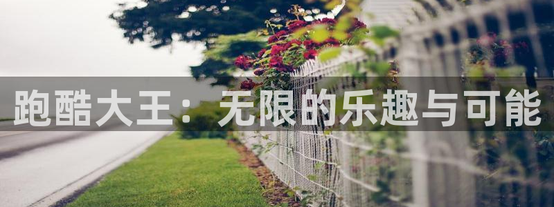 杏悦2官方网站下载：跑酷大王：无限的乐趣与可能
