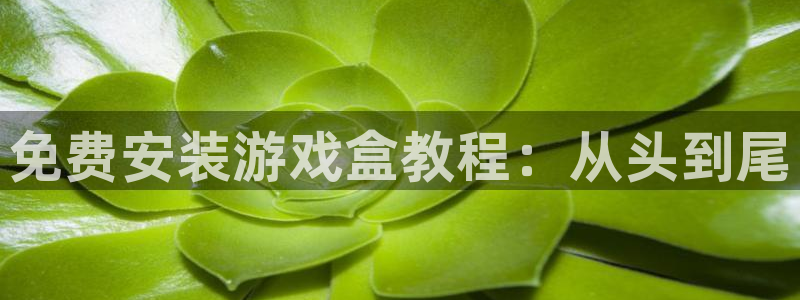 杏悦2旧版本下载：免费安装游戏盒教程：从头到尾