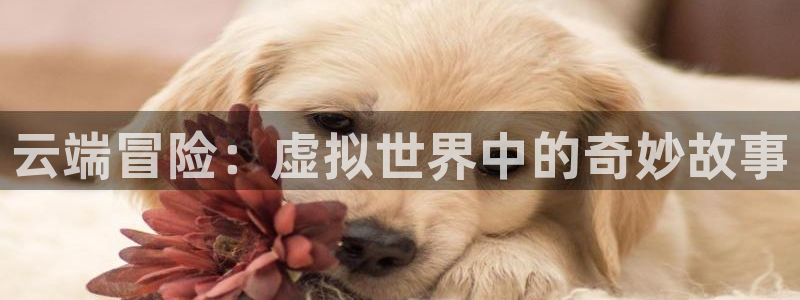 杏悦2平台注册：云端冒险：虚拟世界中的奇妙故事