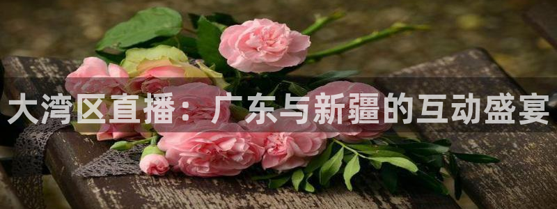 黑白足球视频直播