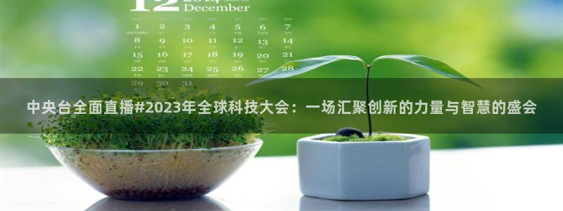 黑白直播免费体育直播：中央台全面直播#2023年全球科技大会：一场汇聚创新的力量与智慧的盛会
