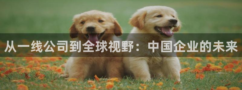 黑白足球：从一线公司到全球视野：中国企业的未来