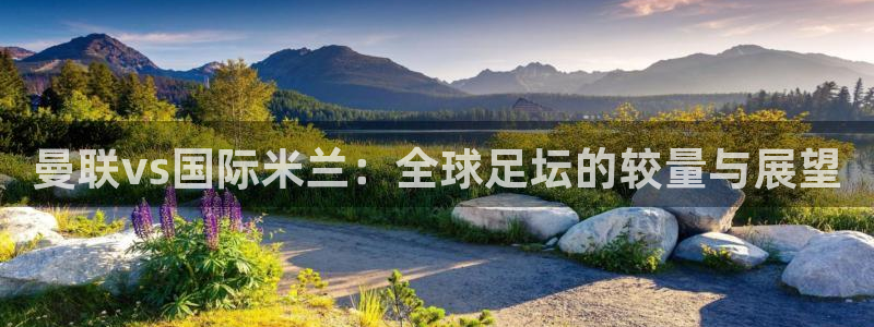 足球黑白直播免费观看直播：曼联vs国际米兰：全球足坛的较量与展望