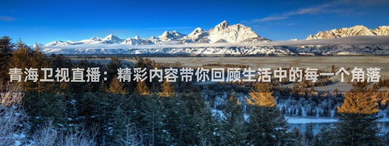 黑白直播官方免费下载：青海卫视直播：精彩内容带你回顾生活中的每一个角落