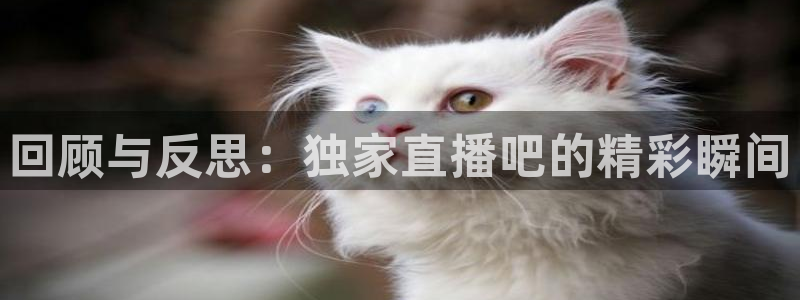 黑白视频nba直播：回顾与反思：独家直播吧的精彩瞬间