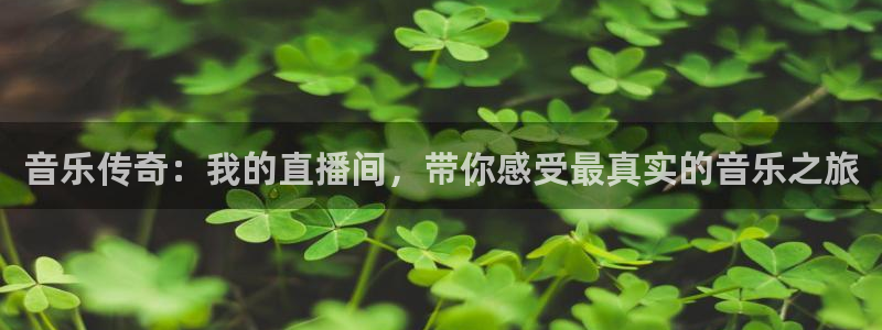 黑白直播在线观看篮球：音乐传奇：我的直播间，带你感受最真实的音乐之旅
