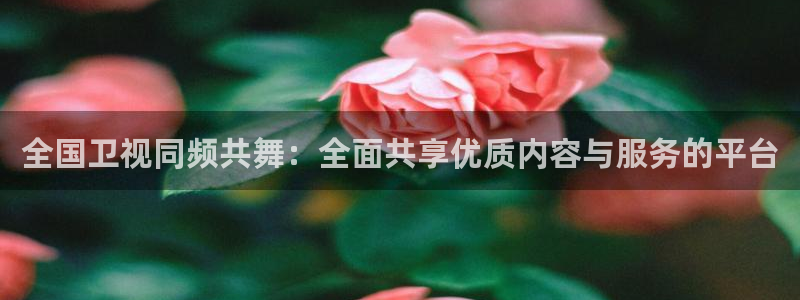 黑白体育nba在线直播：全国卫视同频共舞：全面共享优质内容与服务的平台