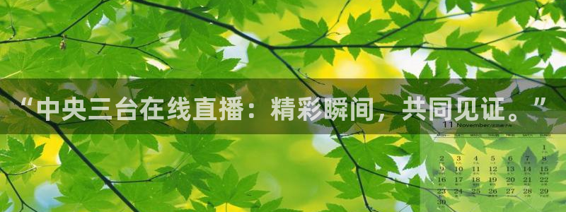 足球比赛黑白直播：“中央三台在线直播：精彩瞬间，共同见证。”
