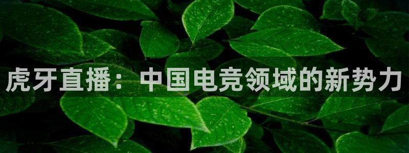 nba直播 黑白直播间：虎牙直播：中国电竞领域的新势力
