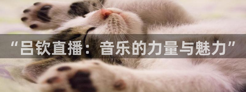 黑白体育免费直播：“吕钦直播：音乐的力量与魅力”