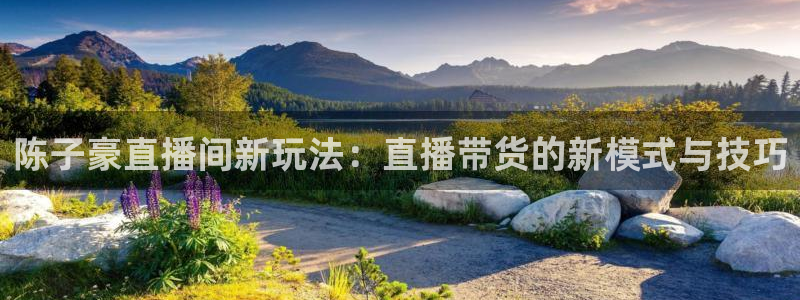 黑白直播 体育：陈子豪直播间新玩法：直播带货的新模式与技巧